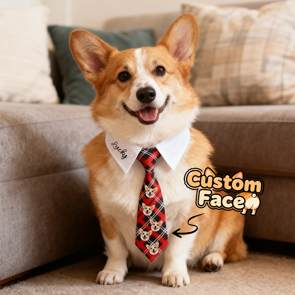 Custom Name Pet Tie – Perfect for Everyday Style Gifts For Pet Lovers