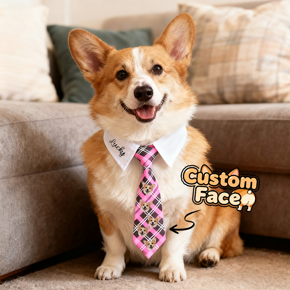 Custom Name Pet Tie – Perfect for Everyday Style Gifts For Pet Lovers