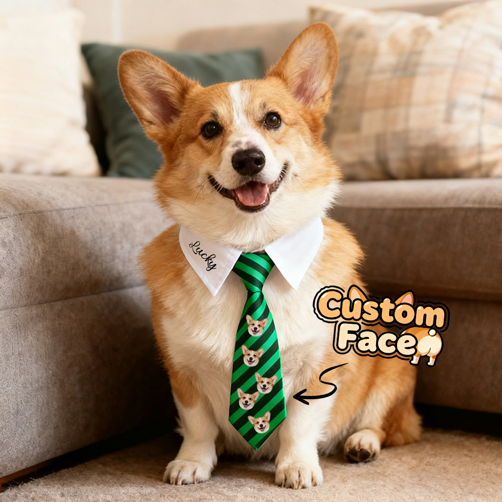 Custom Name Pet Tie – Perfect for Everyday Style Gifts For Pet Lovers