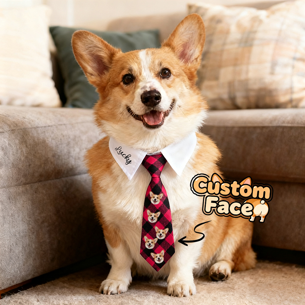 Custom Name Pet Tie – Perfect for Everyday Style Gifts For Pet Lovers