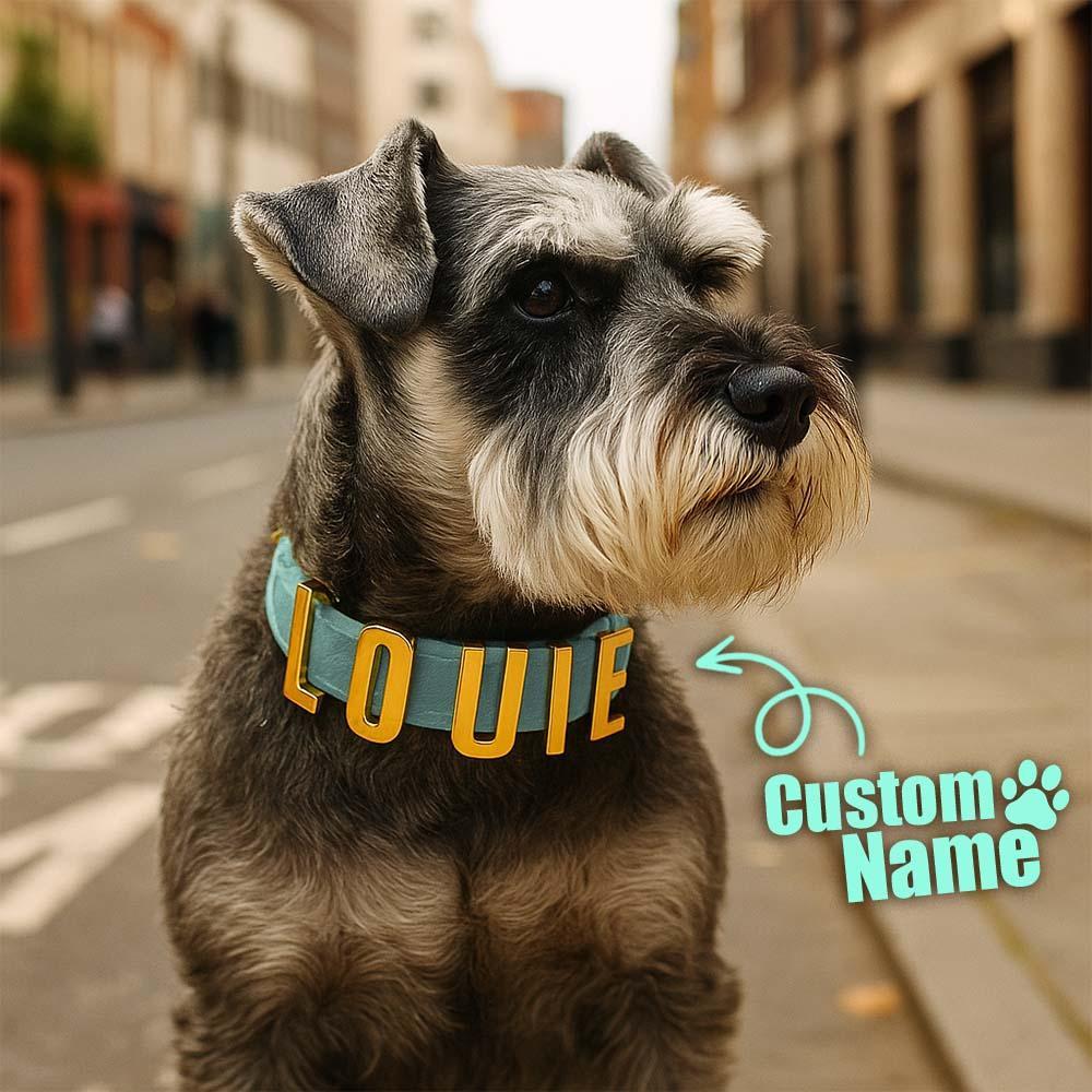 Personalized Dog Collars with Metal Letter Name, Female Dog Collars with Name, Pet Accessories, Pet Nameplate Dog Collar Custom Name Tag