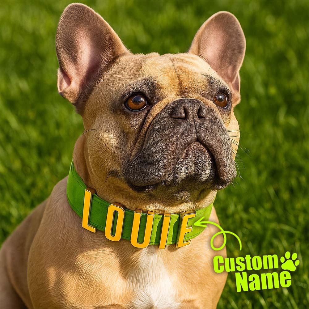 Personalized Dog Collars with Metal Letter Name, Female Dog Collars with Name, Pet Accessories, Pet Nameplate Dog Collar Custom Name Tag