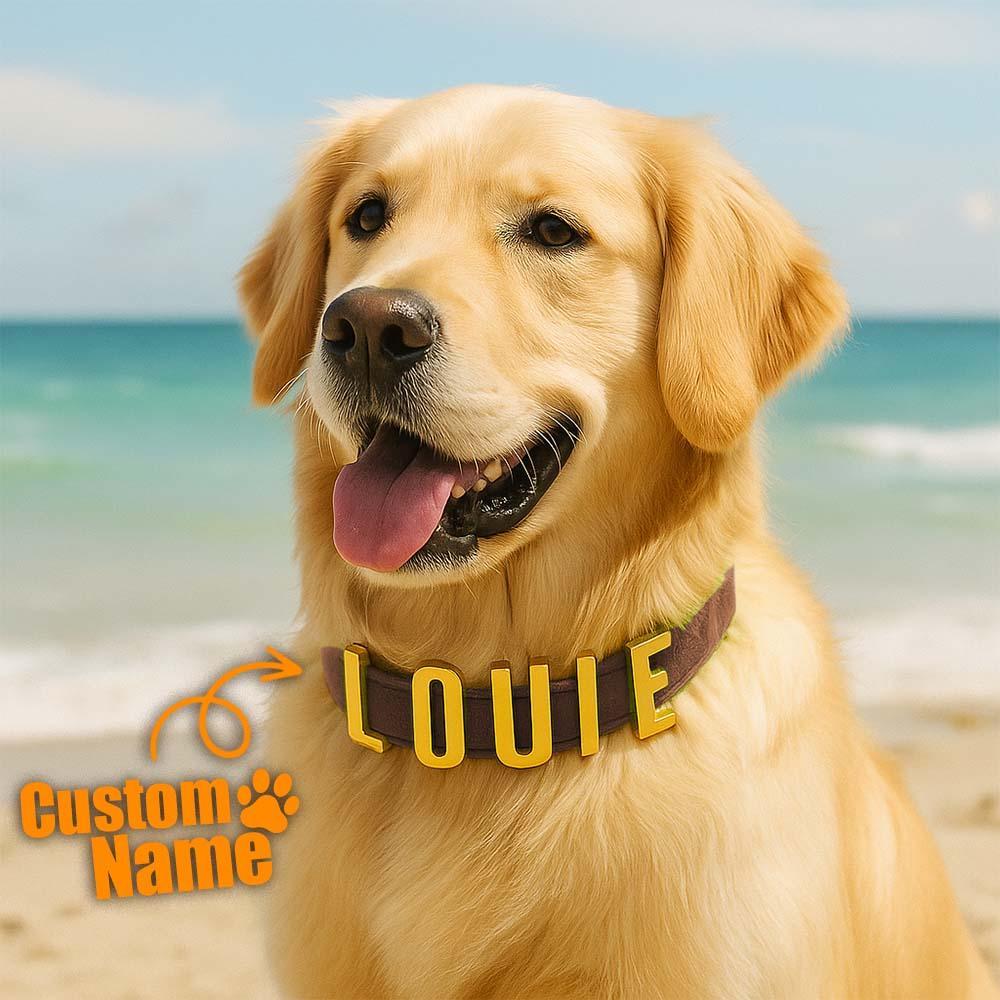 Personalized Dog Collars with Metal Letter Name, Female Dog Collars with Name, Pet Accessories, Pet Nameplate Dog Collar Custom Name Tag
