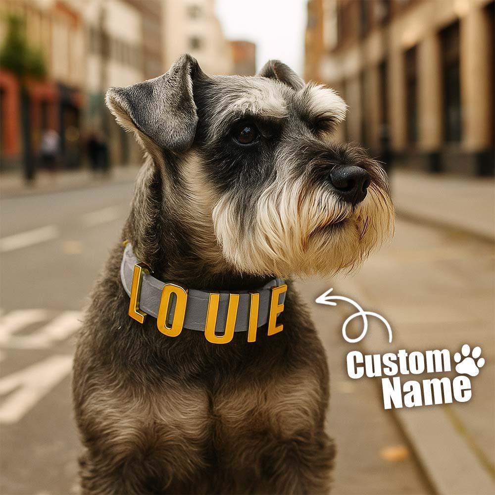 Personalized Dog Collars with Metal Letter Name, Female Dog Collars with Name, Pet Accessories, Pet Nameplate Dog Collar Custom Name Tag