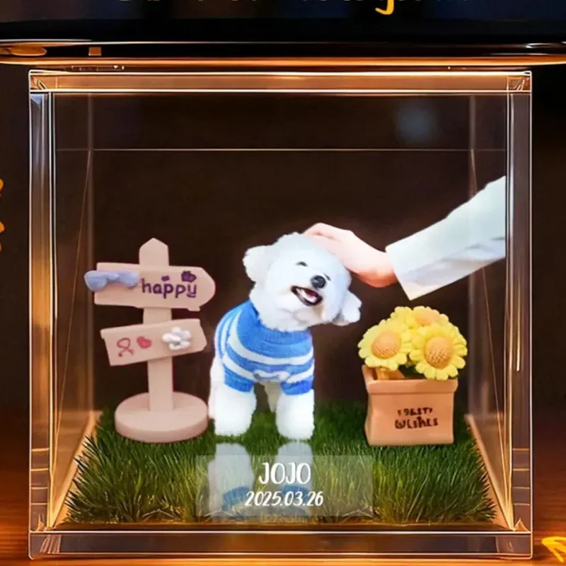 Custom Pet Lumina Boxes Custom Pet Digital Hologram House with Wooden Base
