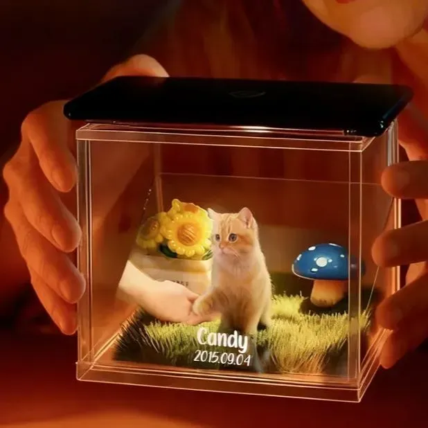 Custom Pet Lumina Boxes Custom Pet Digital Hologram House with Wooden Base