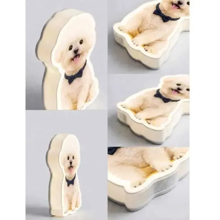 Personalized Cat & Dog Motion Sensor Wall Lamp Custom Pet Photo Night Light for Pet Lover