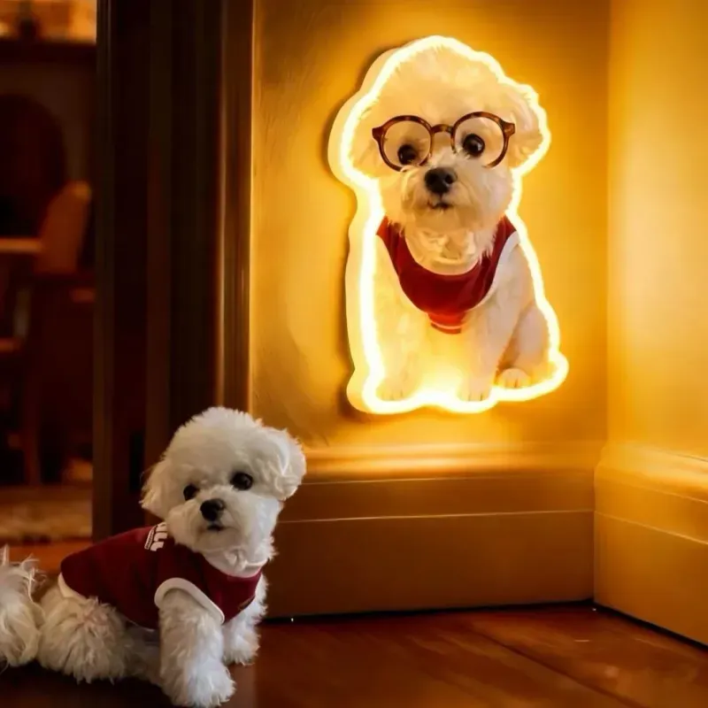 Personalized Cat & Dog Motion Sensor Wall Lamp Custom Pet Photo Night Light for Pet Lover