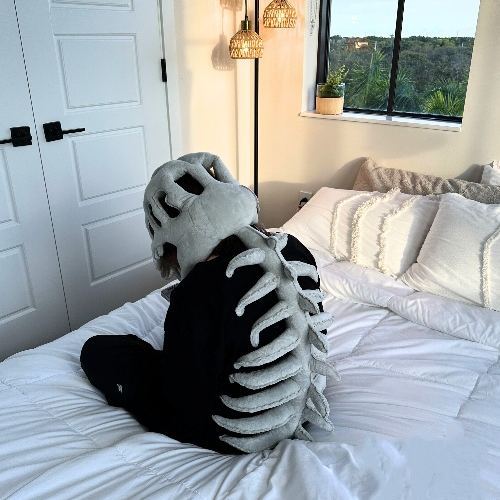 Dinosaur Themed Hood Softest Lovable Companion Hugging Pillow