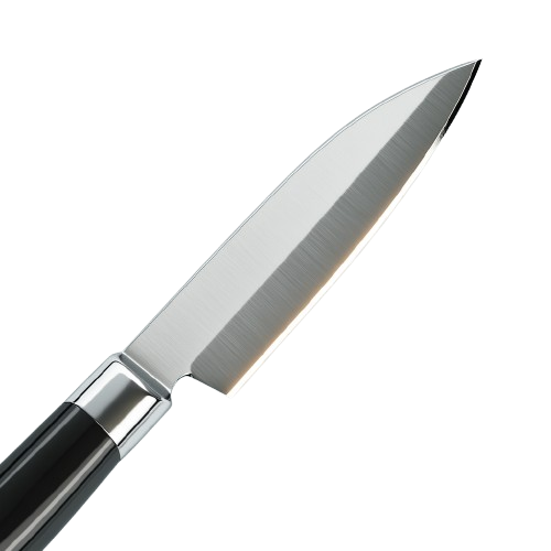 Paring Knife