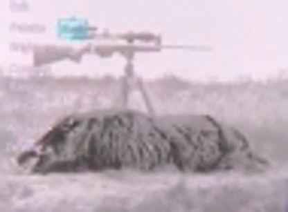 Thermal Clip-on C35