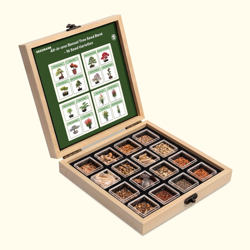 Seedbank All-in-One Bonsai Tree Seed Bank - 16 Seed Varieties