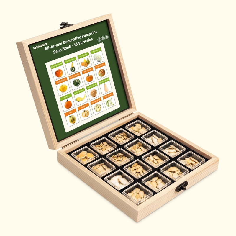 Seedbank All-in-One Decorative Pumpkin Seed Bank - 16 Varieties