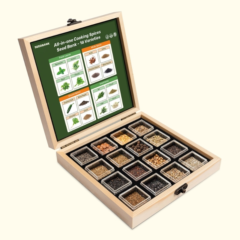 Seedbank All-in-One Cooking Spices Seed Bank - 16 Organic Seed Varieties