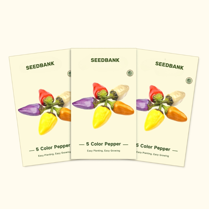 Seedbank 5-Color Pepper Plant Seeds 3-Pack