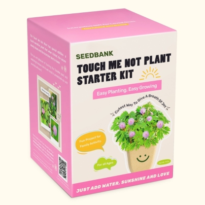 Touch Me Not Plant Grow Kit - 4 Pack Seeds