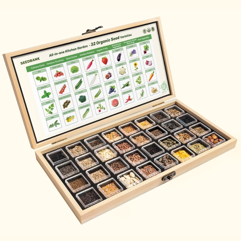 All-in-One Kitchen Garden Seed Bank - 32 Organic Seed Varieties