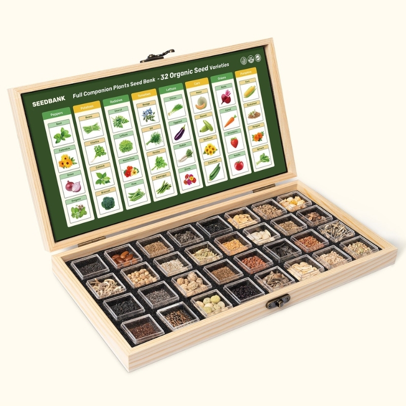 Seedbank Full Companion Plants Seed Bank - 32 Organic Seed Varieties