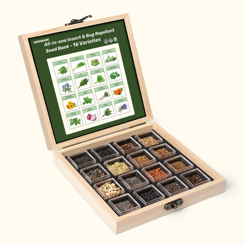 All-in-One Insect & Bug Repellent Seed Bank - 16 Organic Seed Varieties