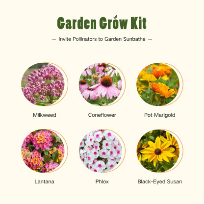 Container Garden - Butterfly Garden Grow Kit