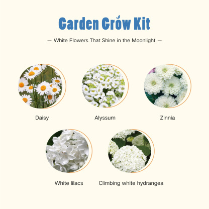 Container Garden - Moon Garden Grow Kit