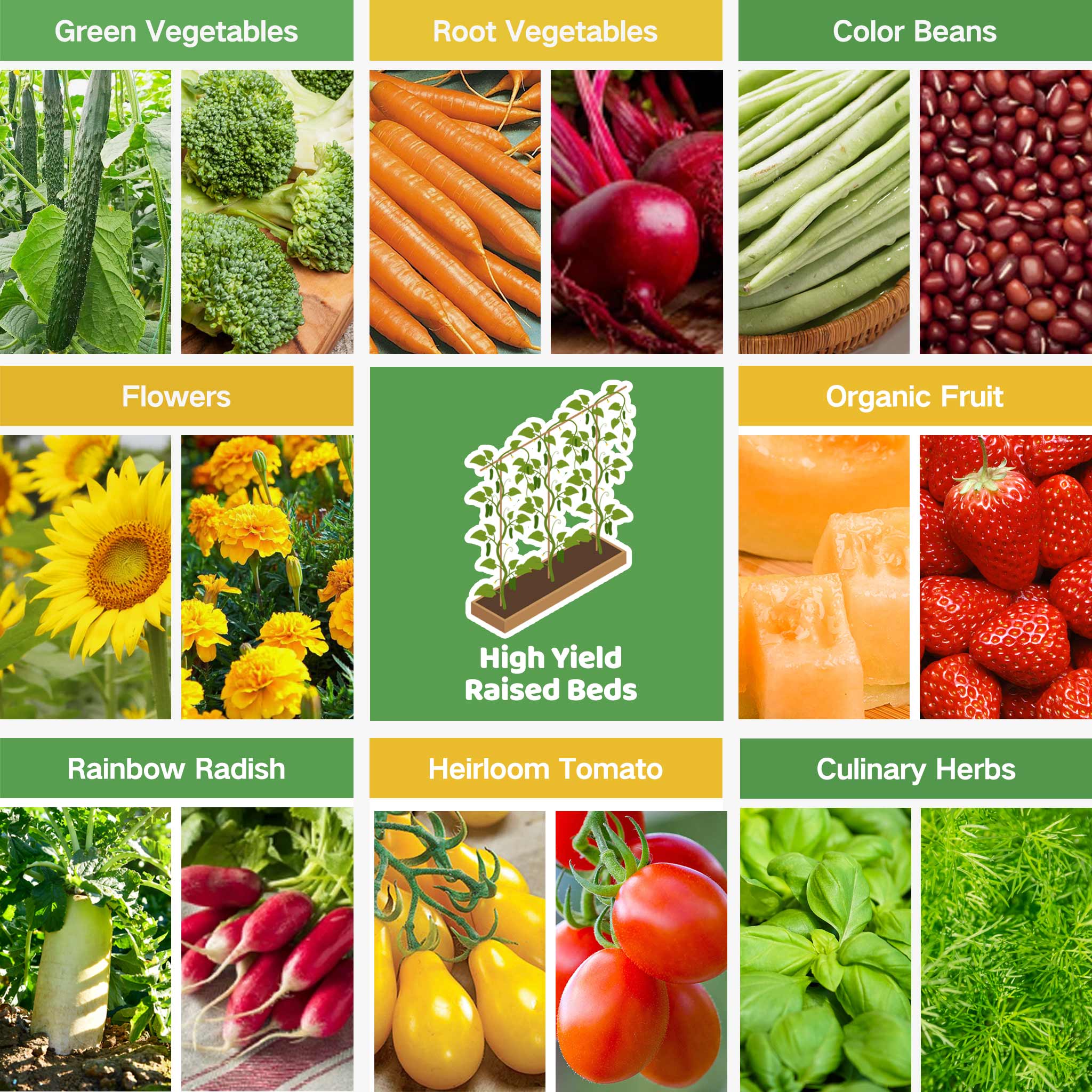 All-in-One High Yield Raised Beds Seed Bank - 32 Organic Seed Varieties