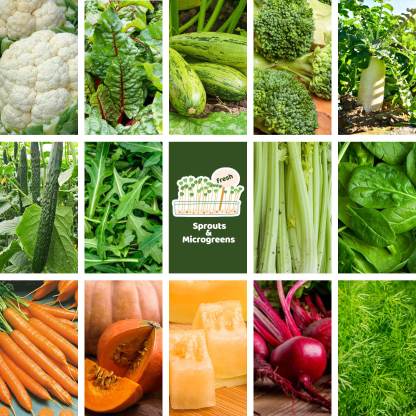 All-in-One Sprouts & Microgreens Seed Bank - 16 Organic Seed Varieties