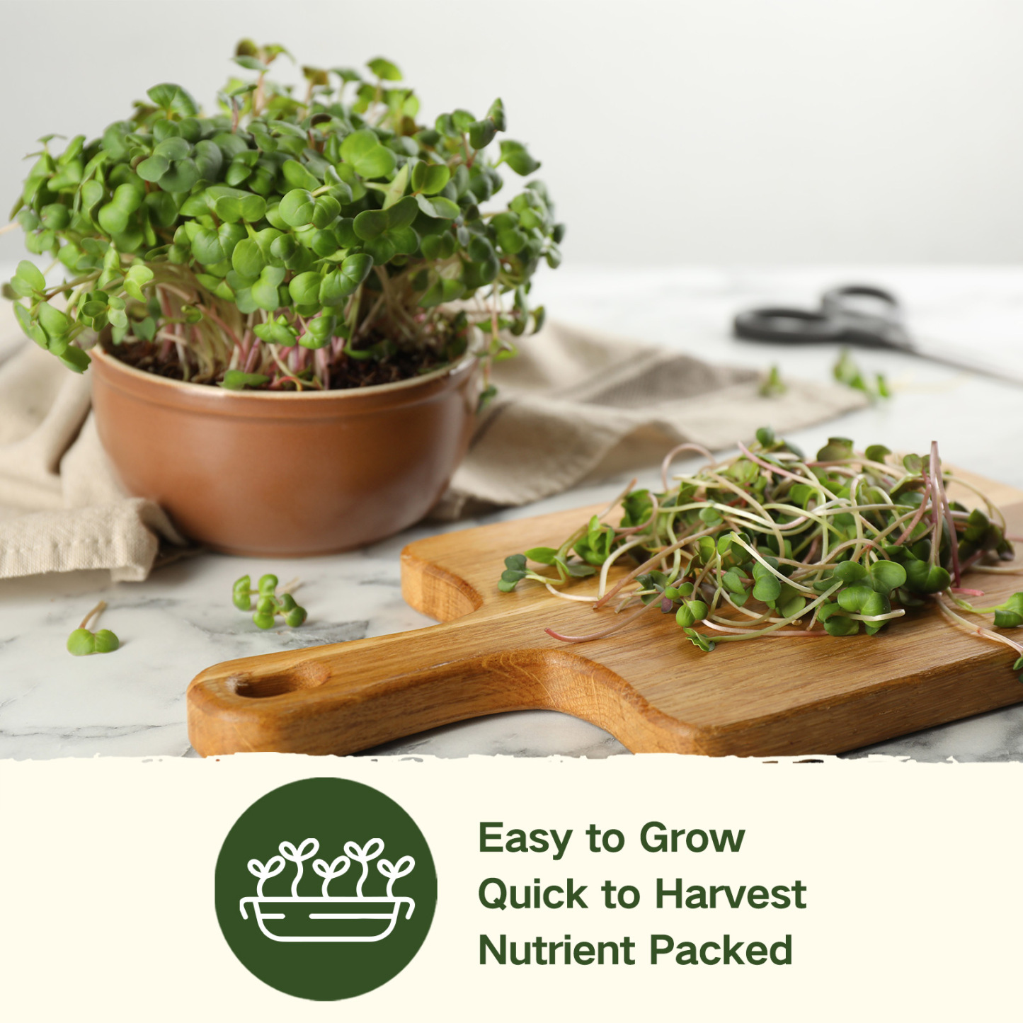 All-in-One Sprouts & Microgreens Seed Bank - 16 Organic Seed Varieties