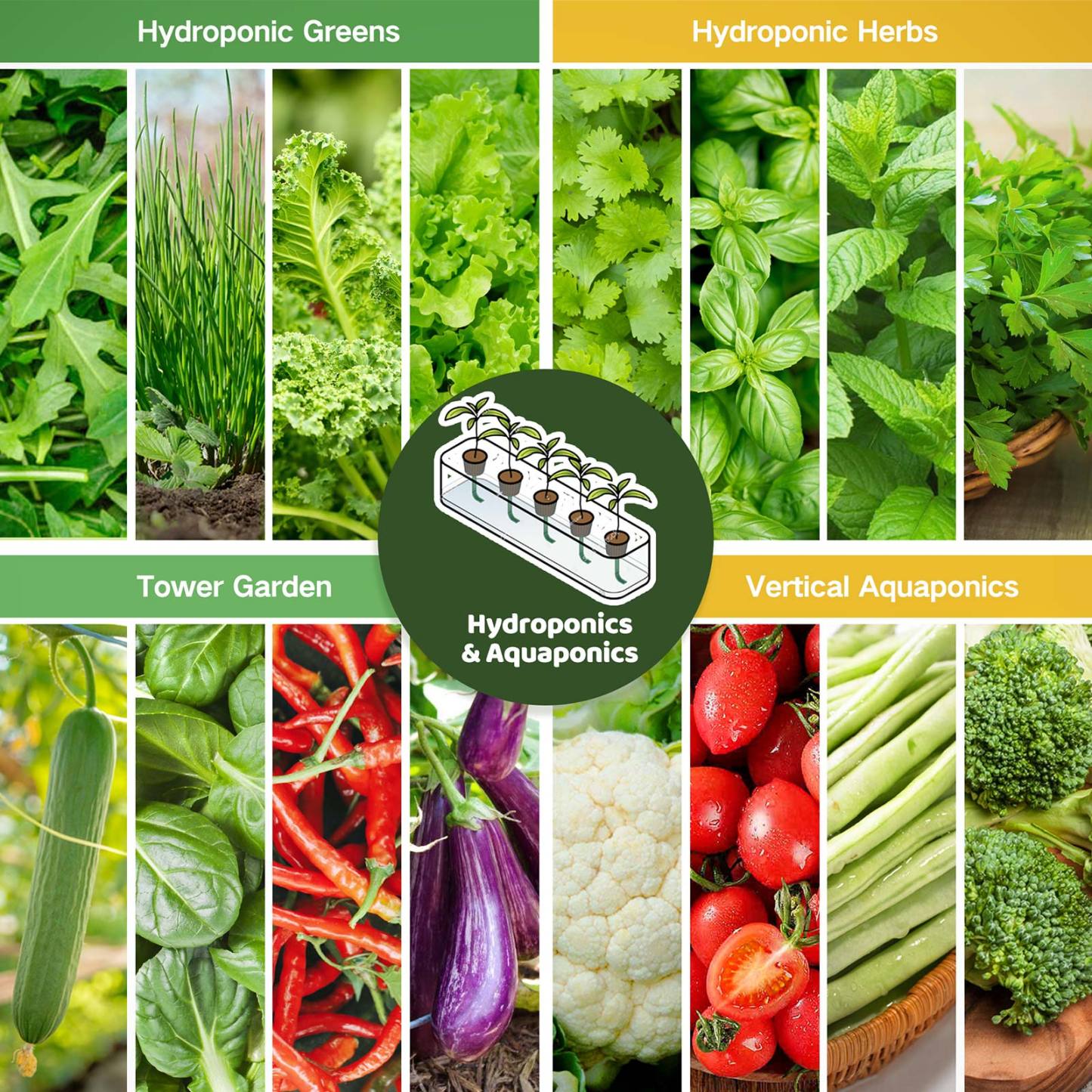 All-in-One Hydroponics & Aquaponics Seed Bank - 16 Organic Seed Varieties
