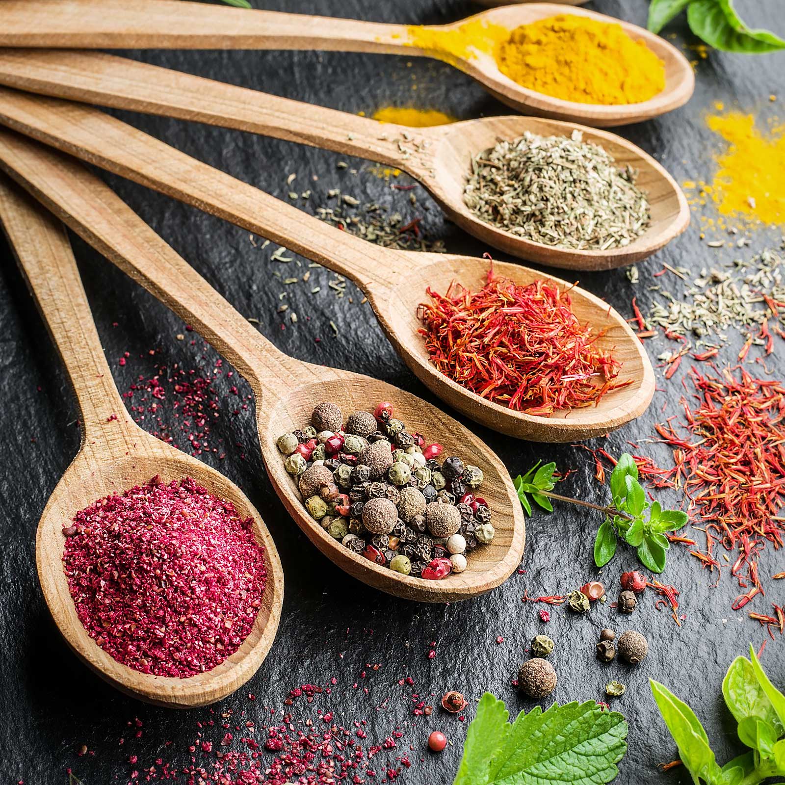 All-in-One Cooking Spices Seed Bank - 16 Organic Seed Varieties