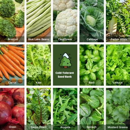 All-in-One Cold-Tolerant Seed Bank - 16 Organic Seed Varieties