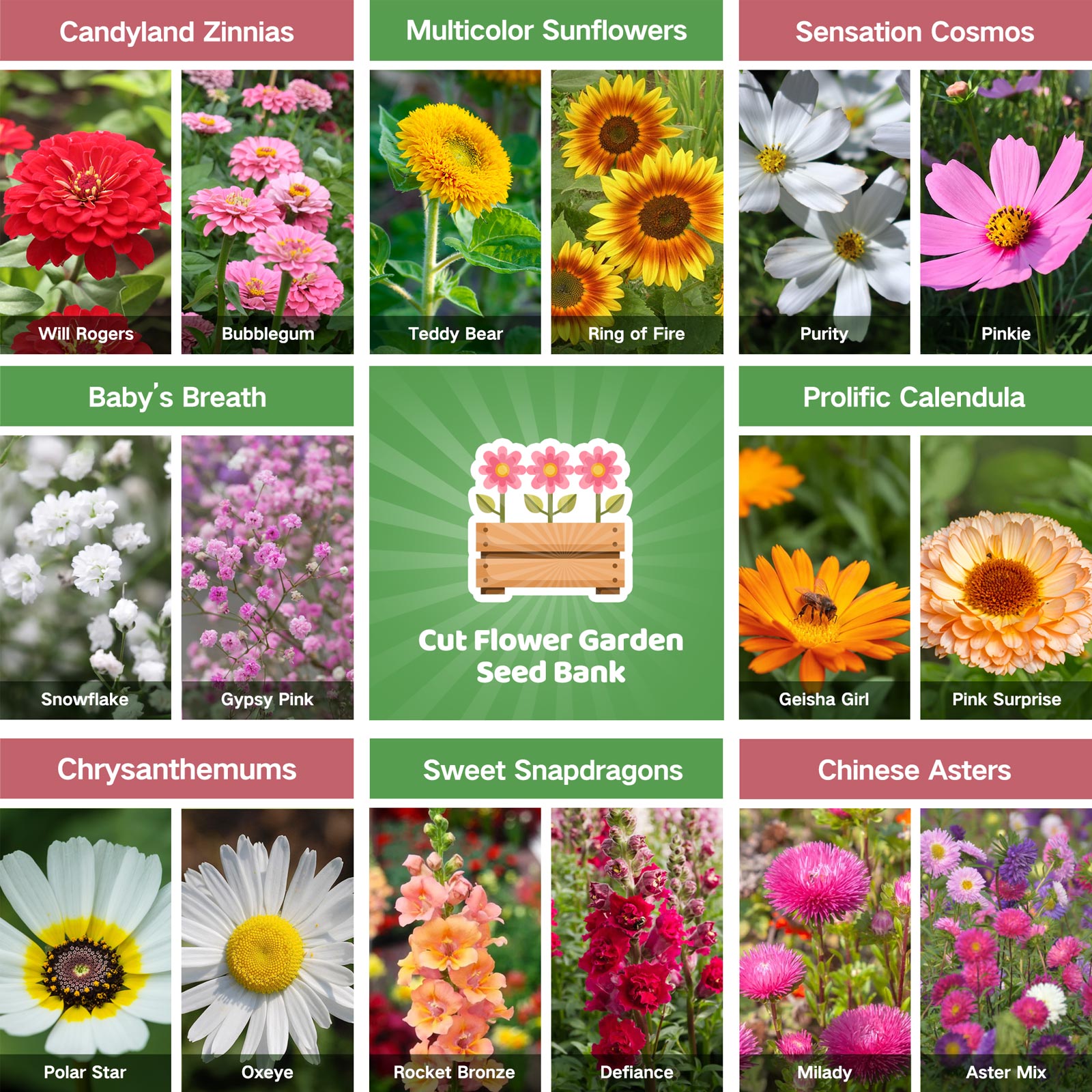 Gift-Ready All-in-One Cut Flower Garden Seed Bank - 32 Seed Varieties