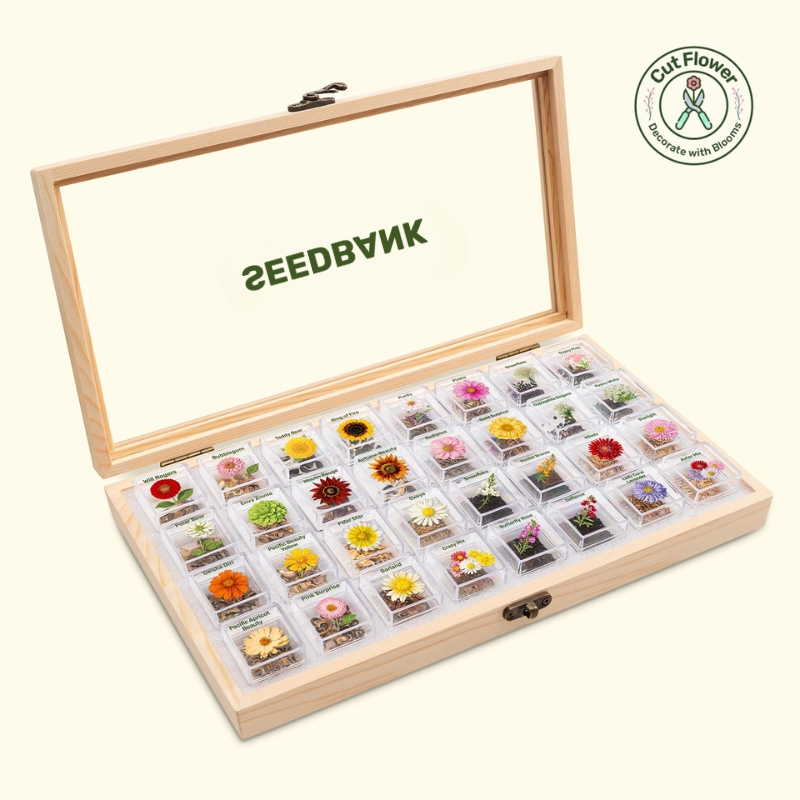 Seedbank Gift-Ready All-in-One Cut Flower Garden Seed Bank - 32 Seed Varieties