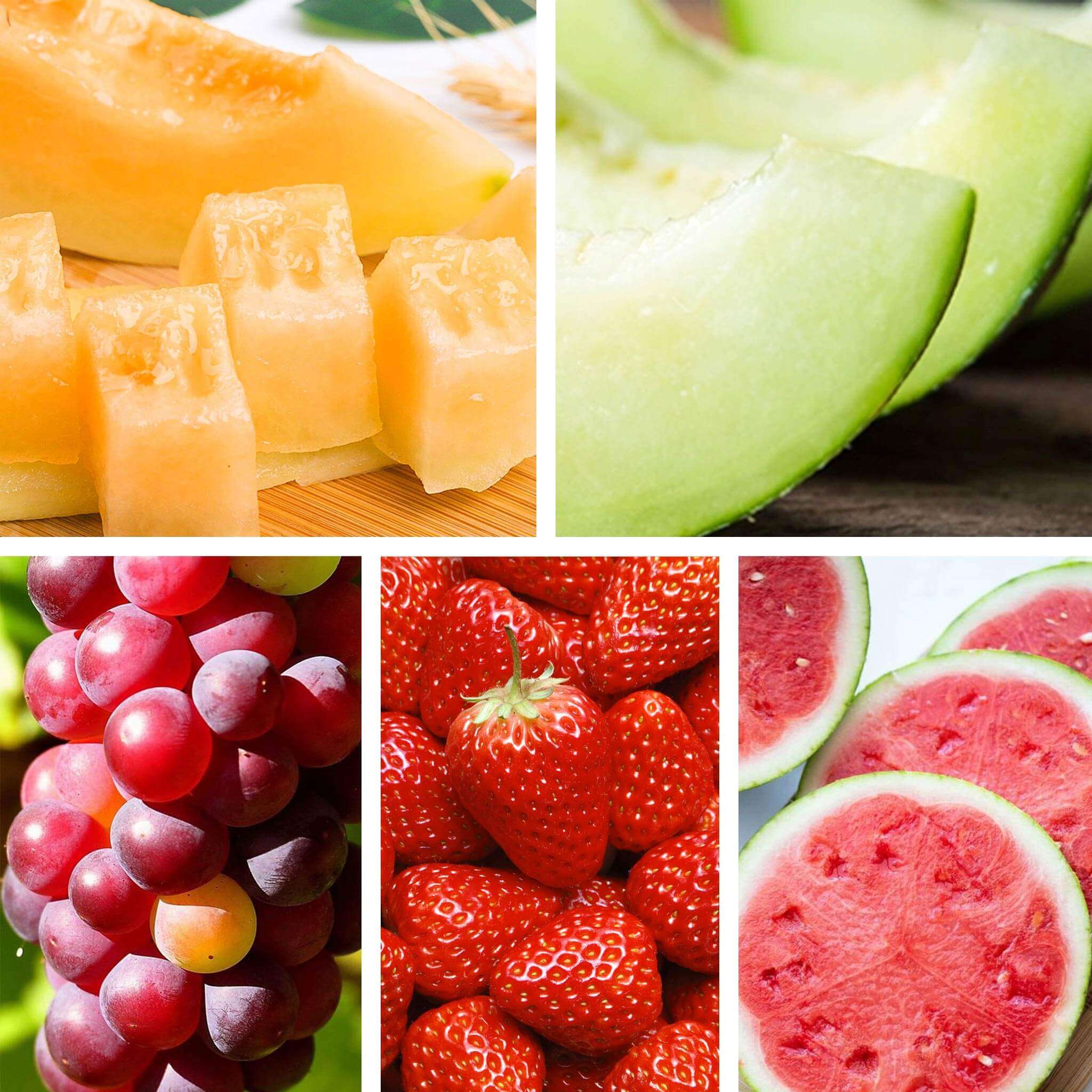 Organic Fruit Harvest 5-Pack