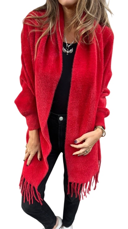 🔥Stylish Autumn Coat with Scarf