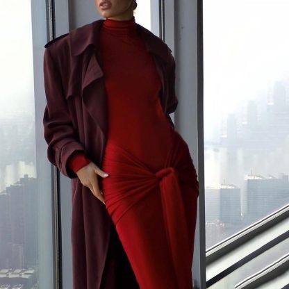 Women's long-sleeved turtleneck dress