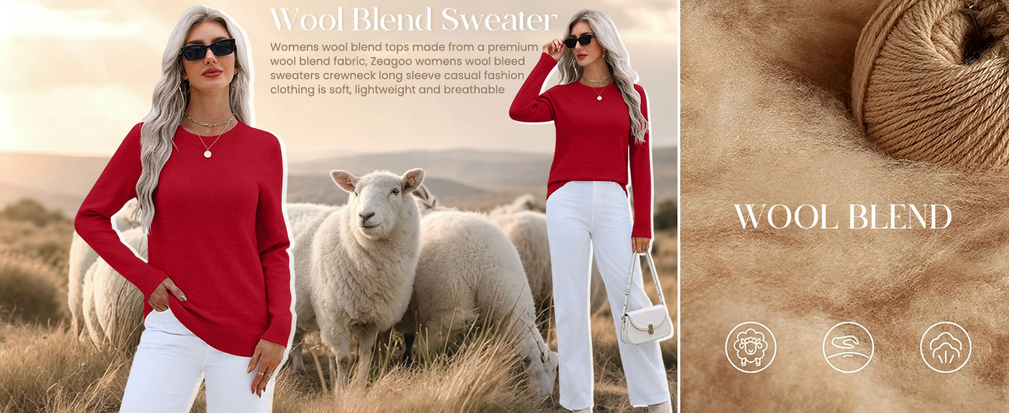 Zeagoo Womens Long Sleeve Crewneck Classic 2026 Fall Basic Pullover Sweaters Top