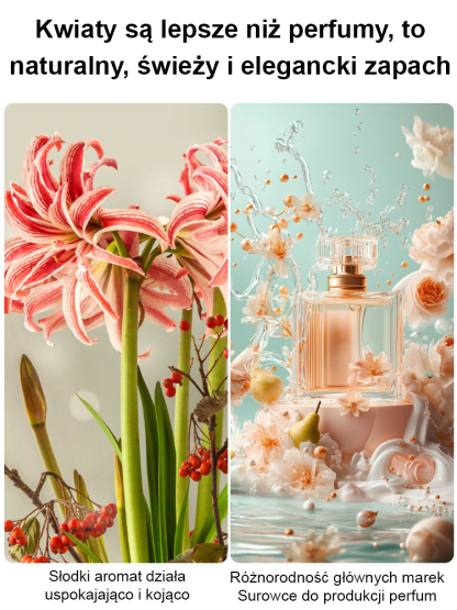【Kiełkuje w 3 dni i kwitnie w 25 dni】Silnie pachnące, całoroczne, kwitnące cebule amarylisów✨✨✨Wyznaczony składnik głównych marek perfum