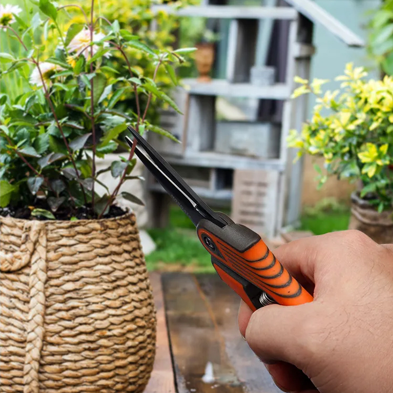 园艺：Gardening