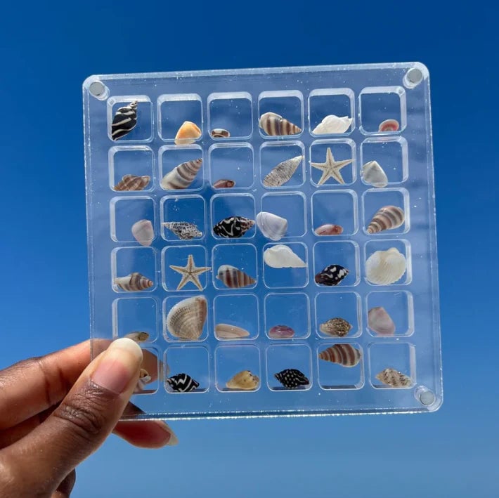 Last Day 50%-Acrylic Magnetic Seashell Display Box