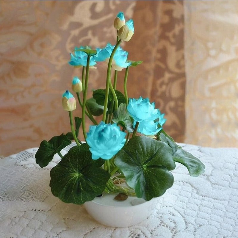 Last Day 50% OFF ✨The Sacred Bonsai Lotus Flower Seeds - 98% Germination