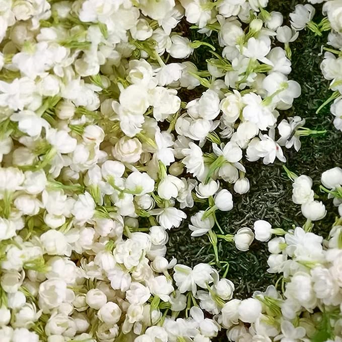 🏆Flash Sale⚡ 50K+ SOLD! Almost Gone-💥🌸 Jasmine Seeds,Best gifts
