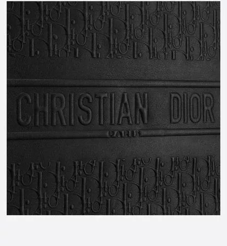 Dior Book Bag