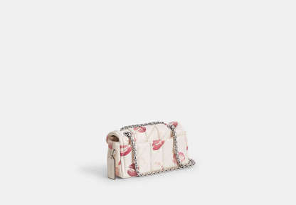 Coathtch Classic handbags-1