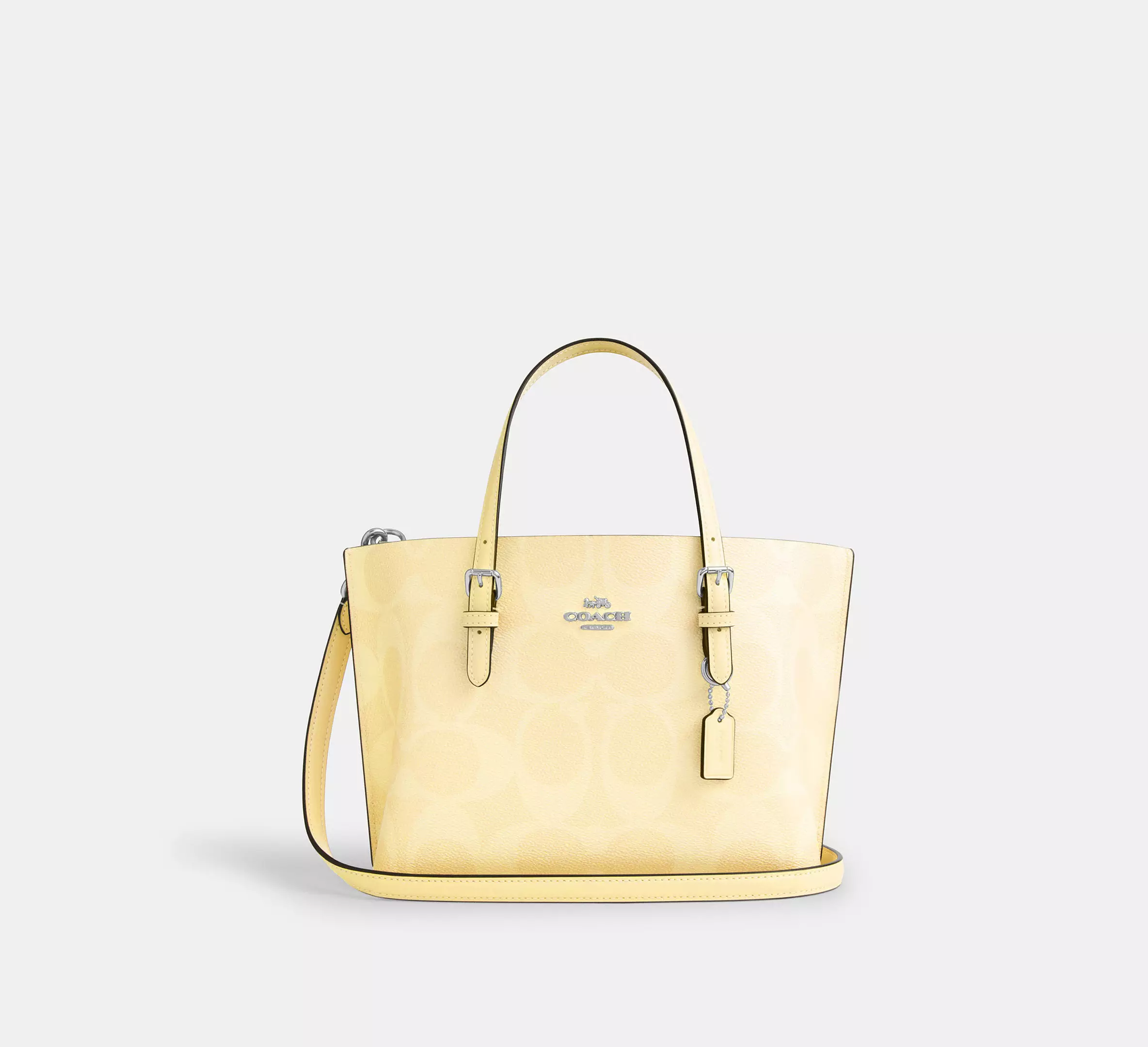 Tote Bag 25 In Signature Canvas