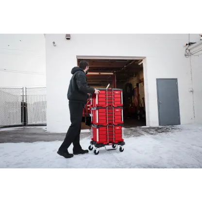 366pc. Master Mechanics Hand Tool Set with PACKOUT™ Drawers and Dolly