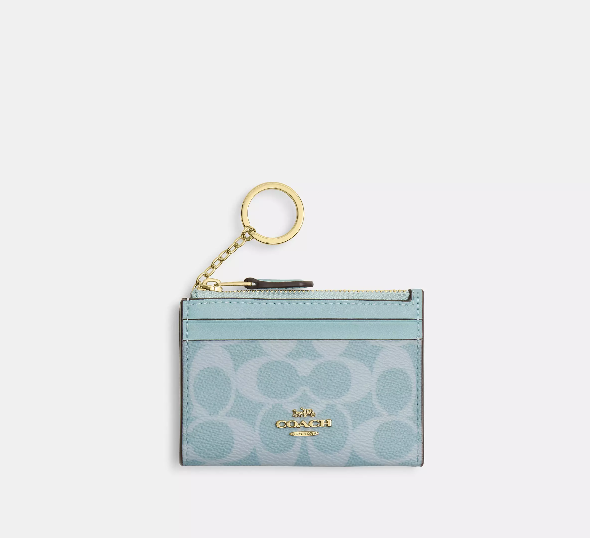 Mini Skinny Id Case In Signature Canvas