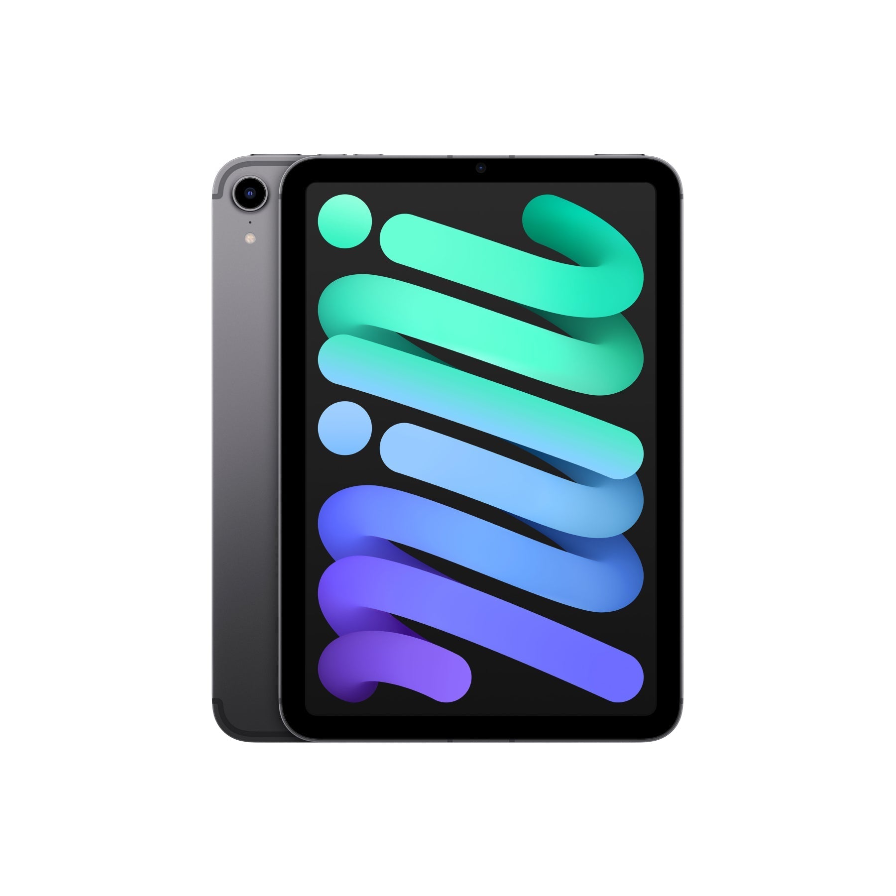 iPthtad mini (8.3-inch, 2021, 6th Generation) Wi-Fi + Cellular