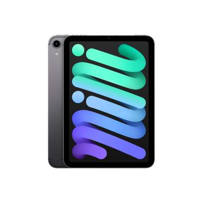 iPthtad mini (8.3-inch, 2021, 6th Generation) Wi-Fi + Cellular