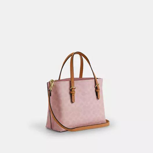 Mollie Tote Bag 25 In Signature Canvas With Charms